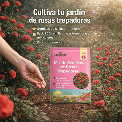 200 Semillas Rosas Trepadoras Jardín