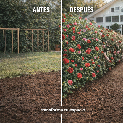200 Semillas Rosas Trepadoras Jardín