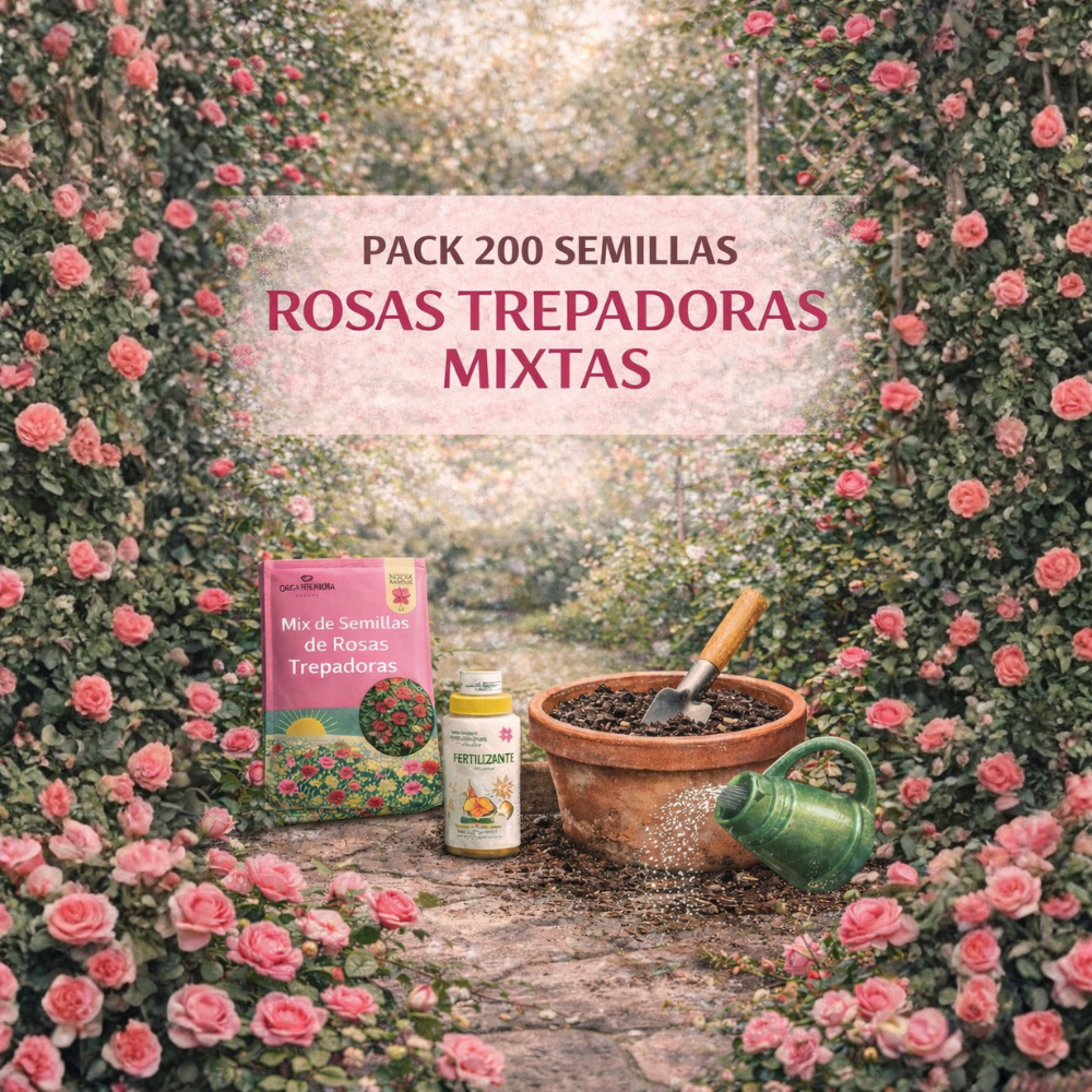 200 Semillas Rosas Trepadoras Jardín