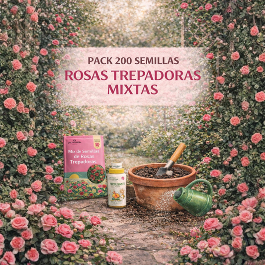 200 Semillas Rosas Trepadoras Jardín